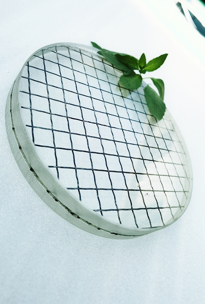 Wire Mesh Glass3